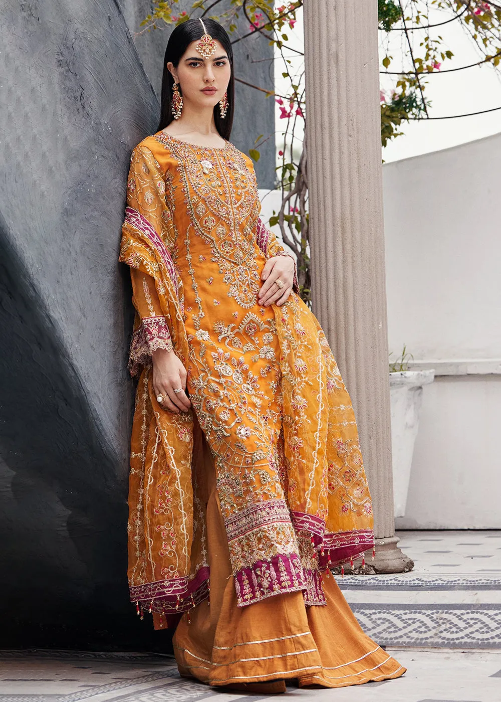 Nawabzadi Wedding Formals '24 by Emaan Adeel | RUHAB