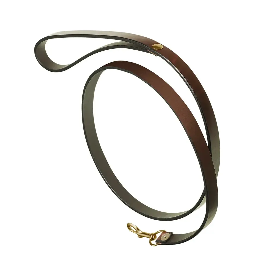 Plain Brown Leather Dog Collar & Lead by Pampeano