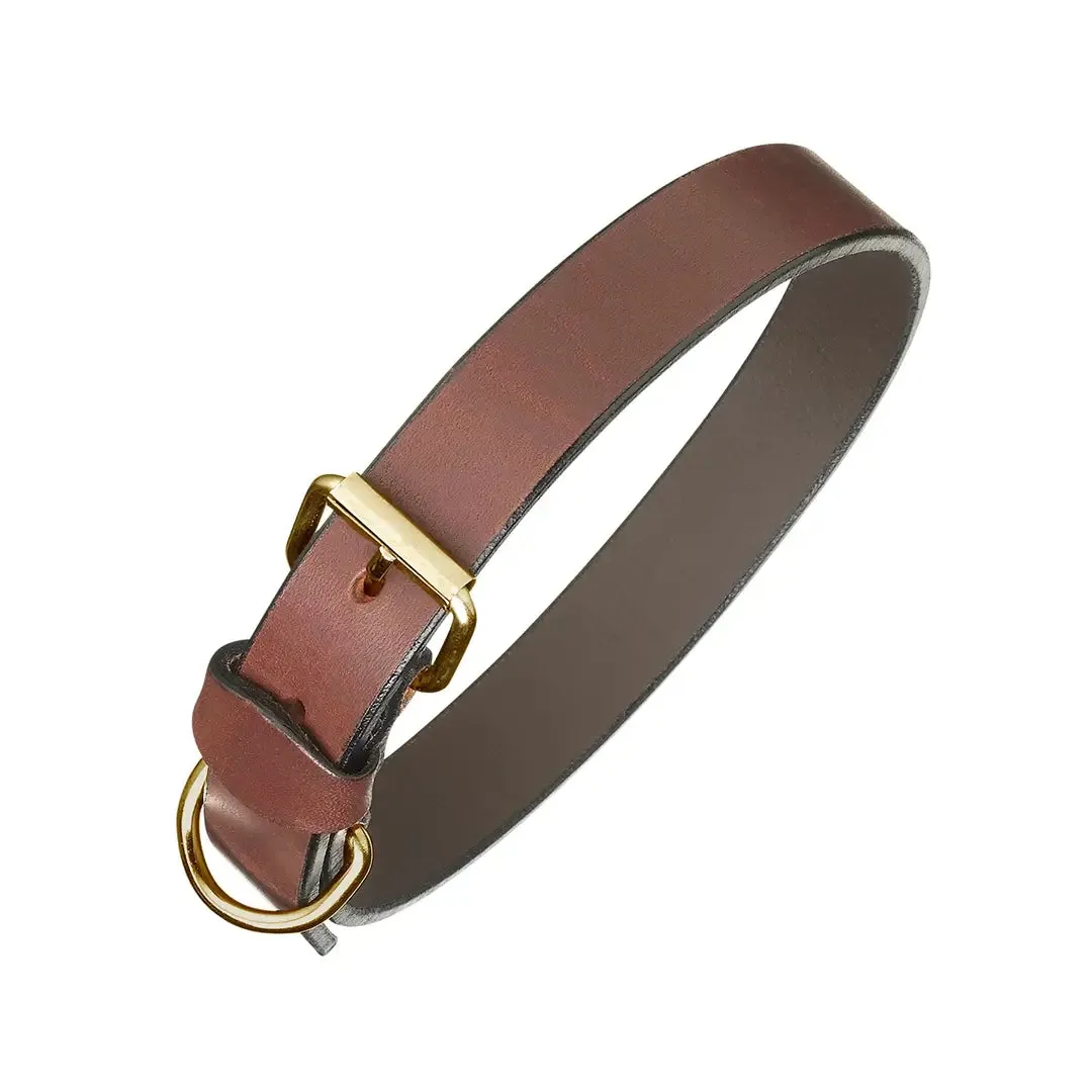 Plain Brown Leather Dog Collar & Lead by Pampeano