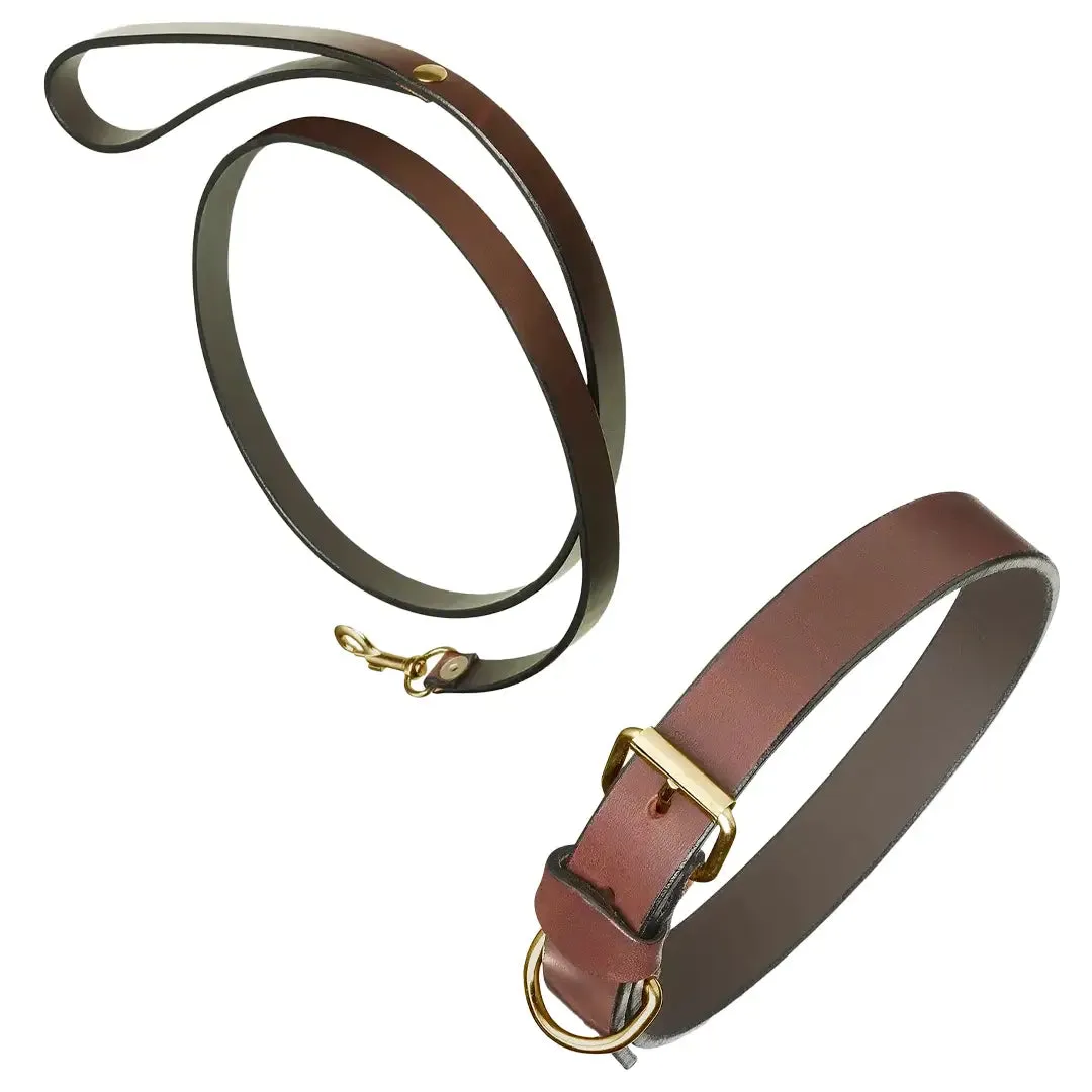 Plain Brown Leather Dog Collar & Lead by Pampeano