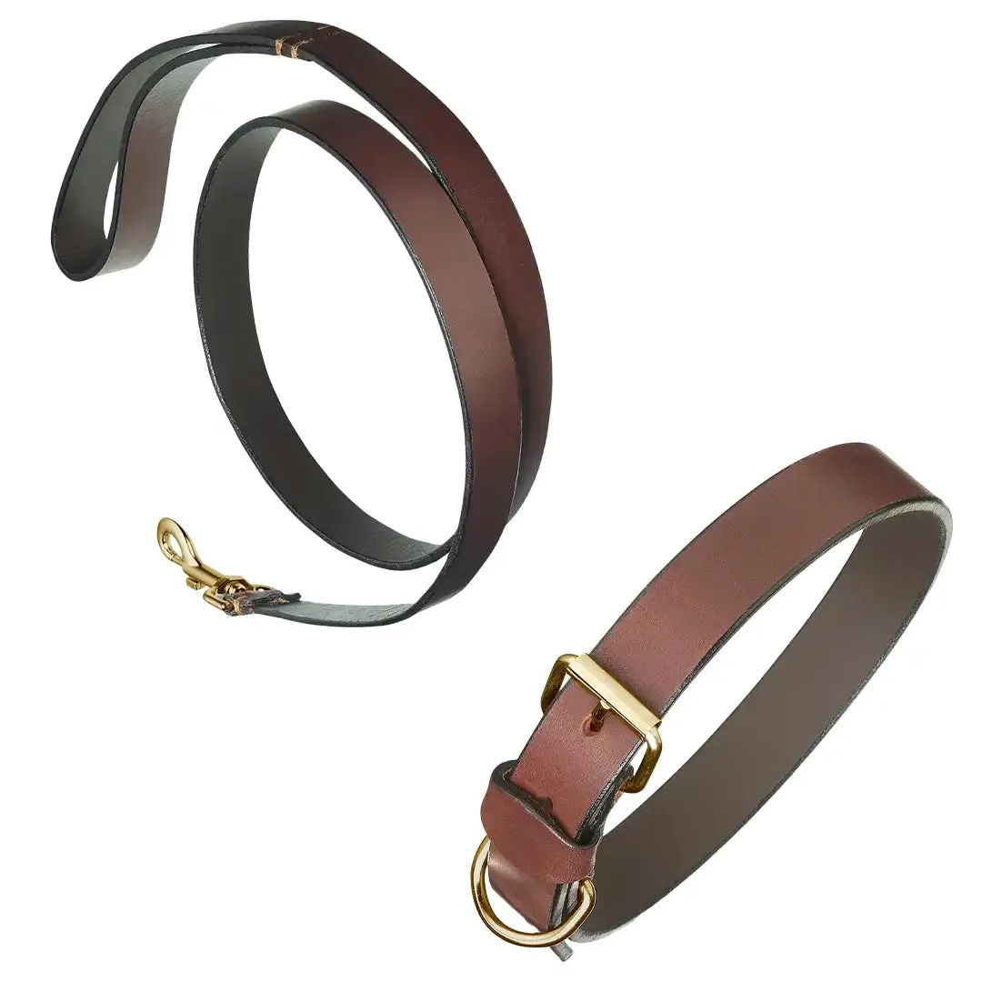 Plain Brown Leather Dog Collar & Lead by Pampeano