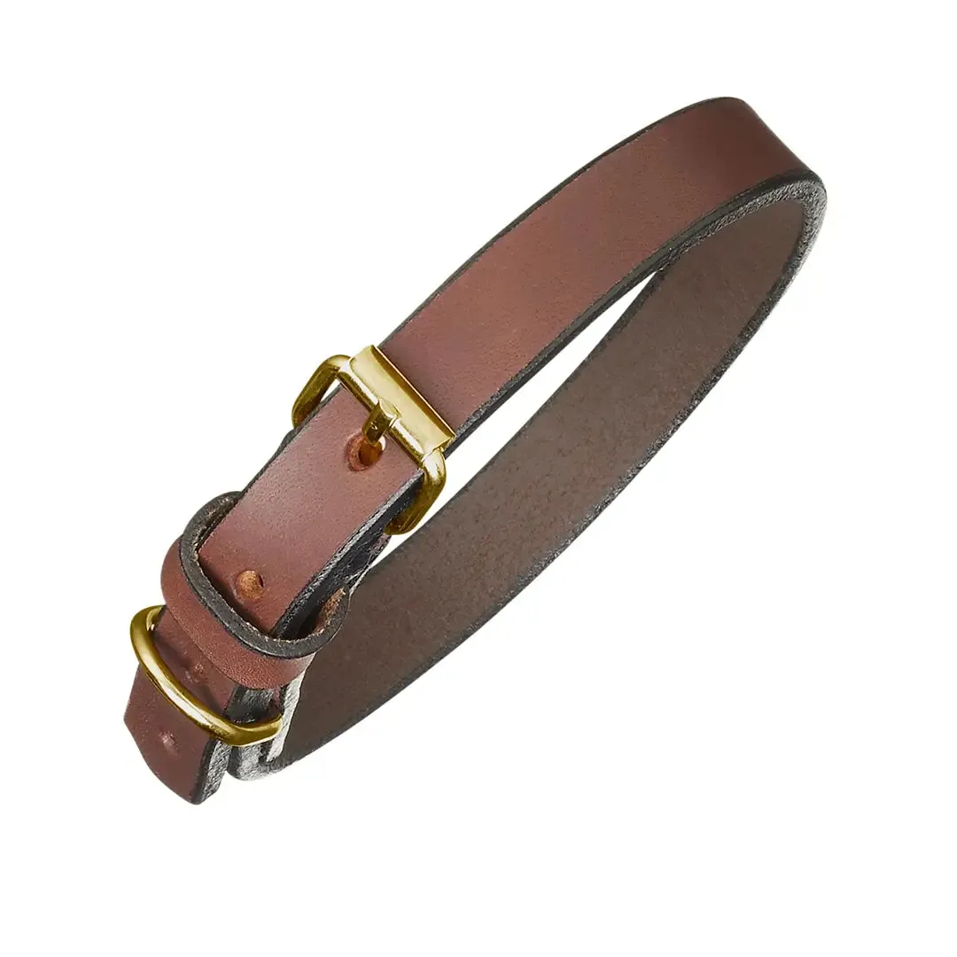 Plain Brown Leather Dog Collar & Lead by Pampeano