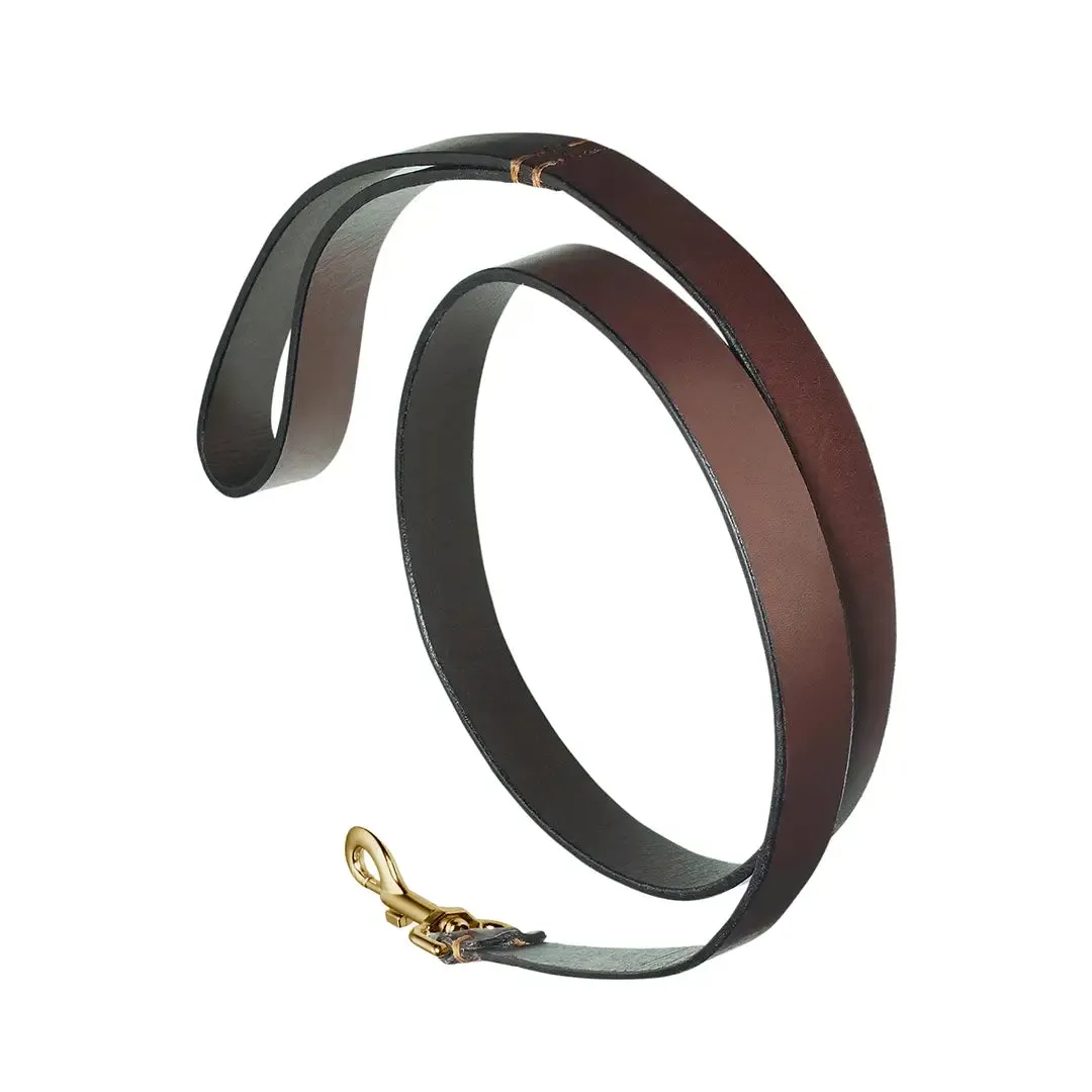 Plain Brown Leather Dog Collar & Lead by Pampeano